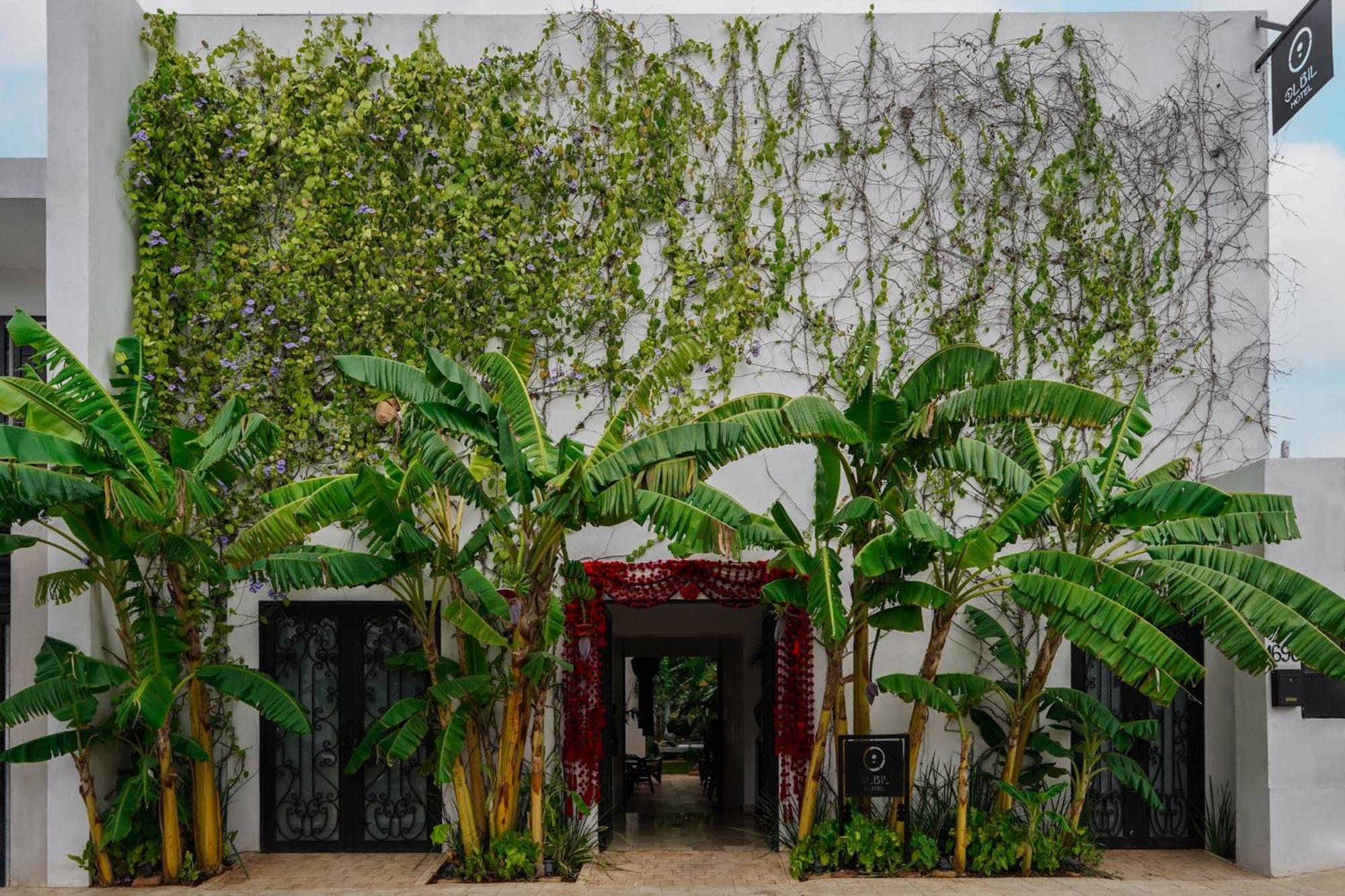 Olbil Hotel Boutique Valladolid  Eksteriør bilde
